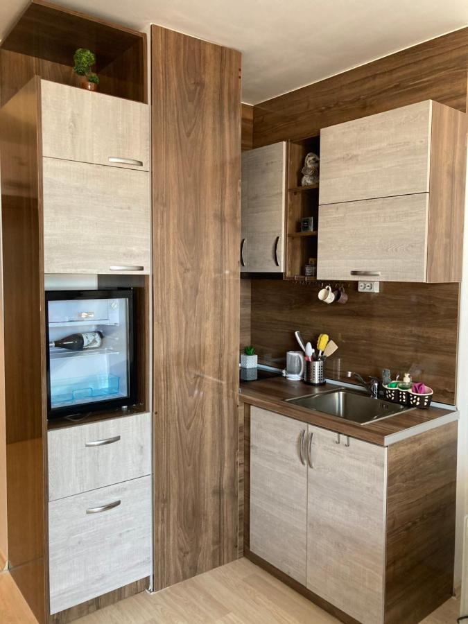 Mirabell Studio Bansko - Amazing View & Fireplace Exteriér fotografie